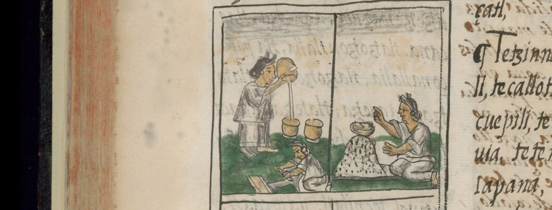 The Ancient History of Cacao