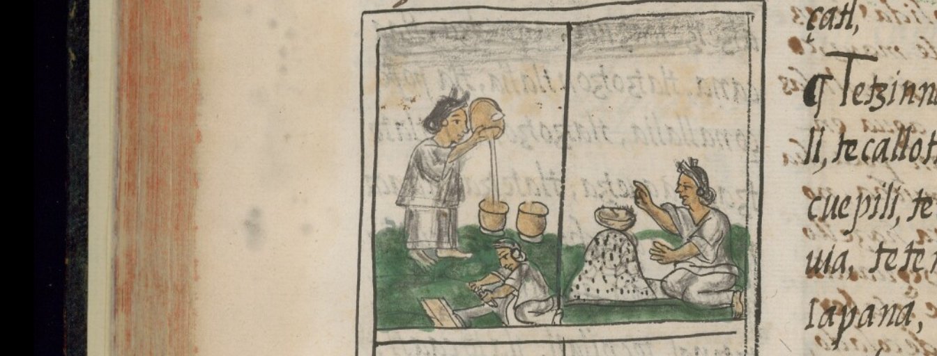 The Ancient History of Cacao