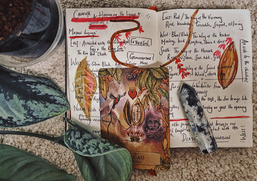 Cacao as a Plant Ally: Indigenous Wisdom and Honouring the Earth