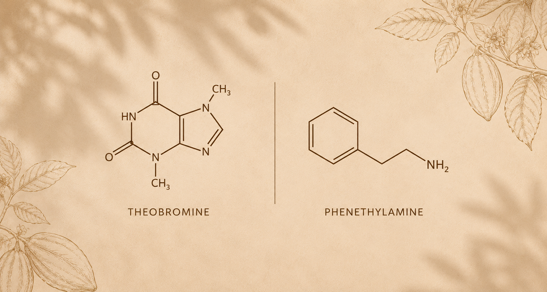 The Chemistry Behind Ceremonial Cacao: A Psychoactive Plant & Natures Food of the Gods