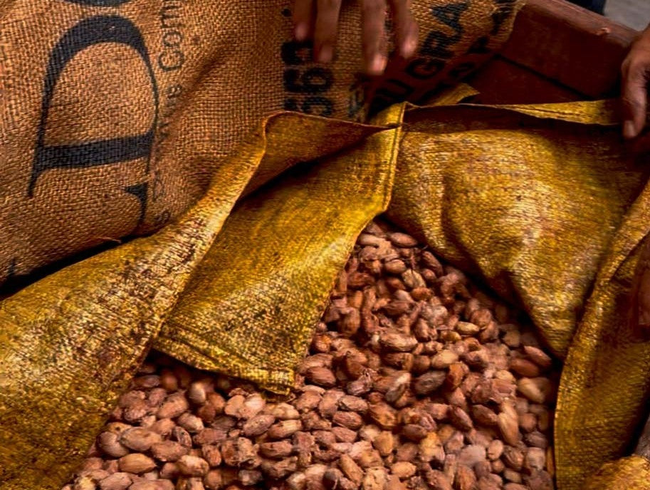How We Source Cacao: Our Responsibility to You